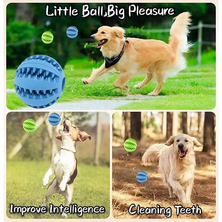Pet Treat Dispensing Chew Ball - dog toys