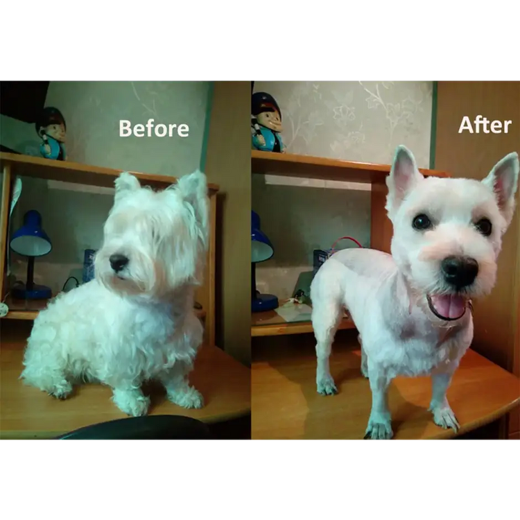 PetsFader Dog Hair Clippers Grooming Kit - pet grooming supply