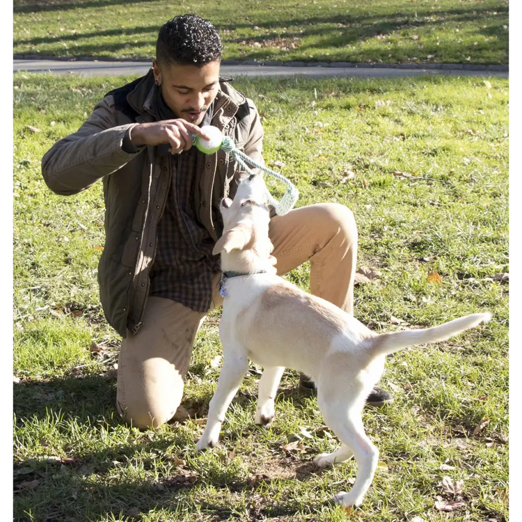 Pull Away’ Rope and Tennis Ball