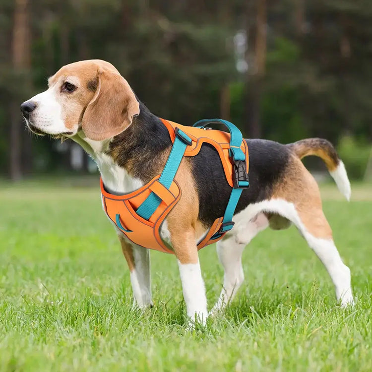 Reflective Mesh Dog Harness – Adjustable Vest - dog harness