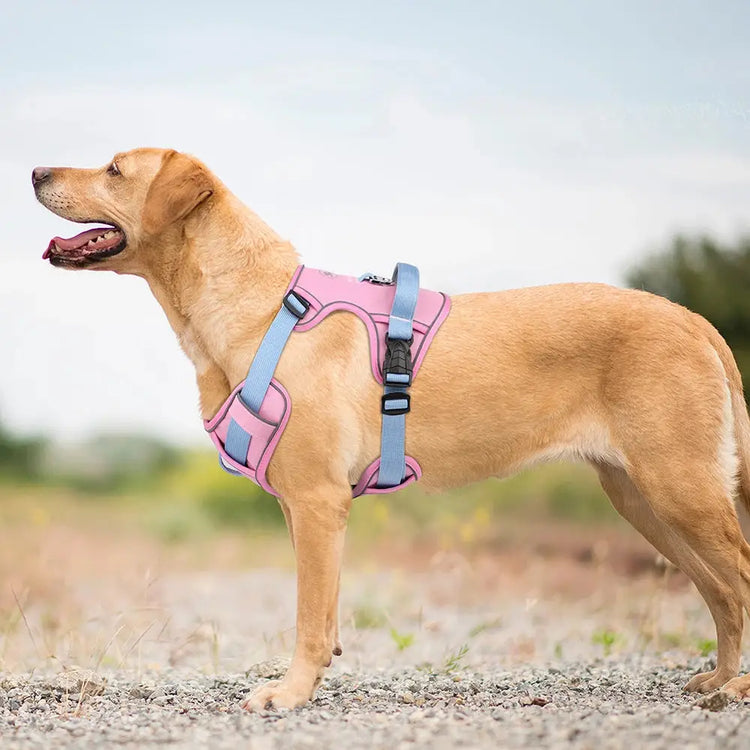 Reflective Mesh Dog Harness – Adjustable Vest - dog harness