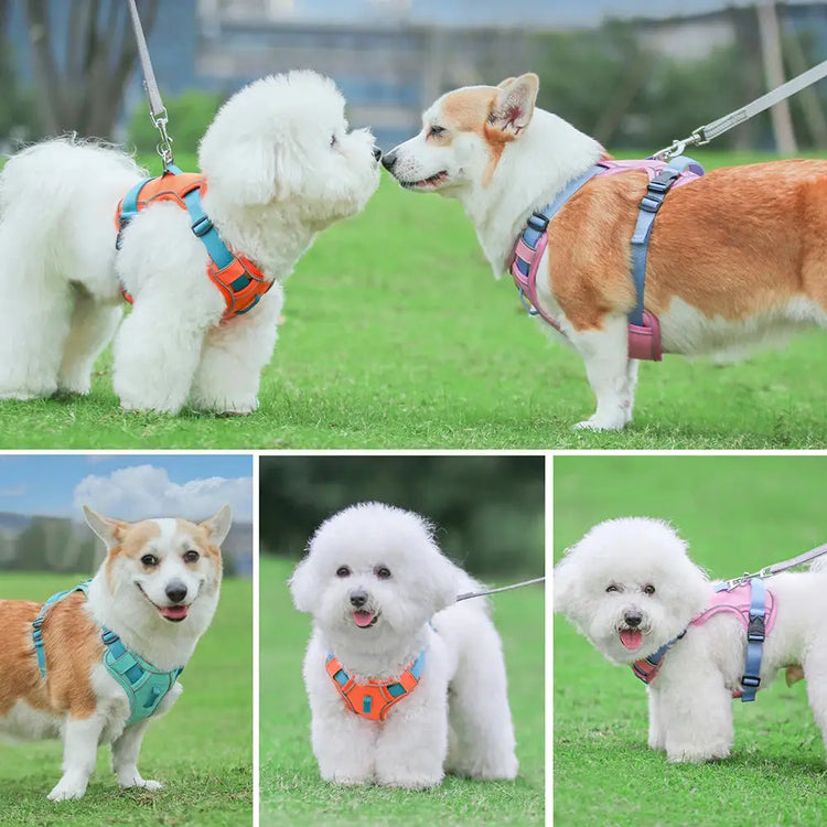 Reflective Mesh Dog Harness – Adjustable Vest - dog harness