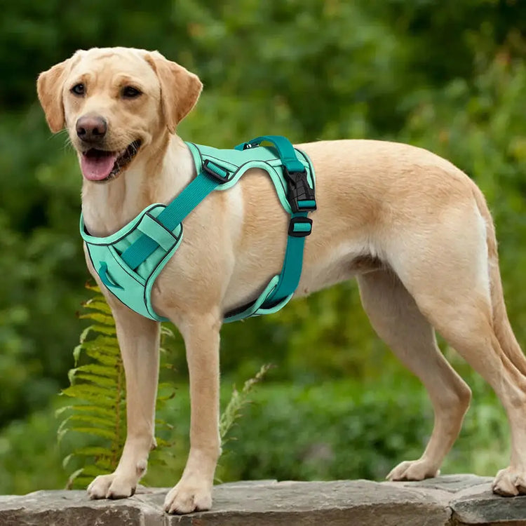 Reflective Mesh Dog Harness – Adjustable Vest - dog harness