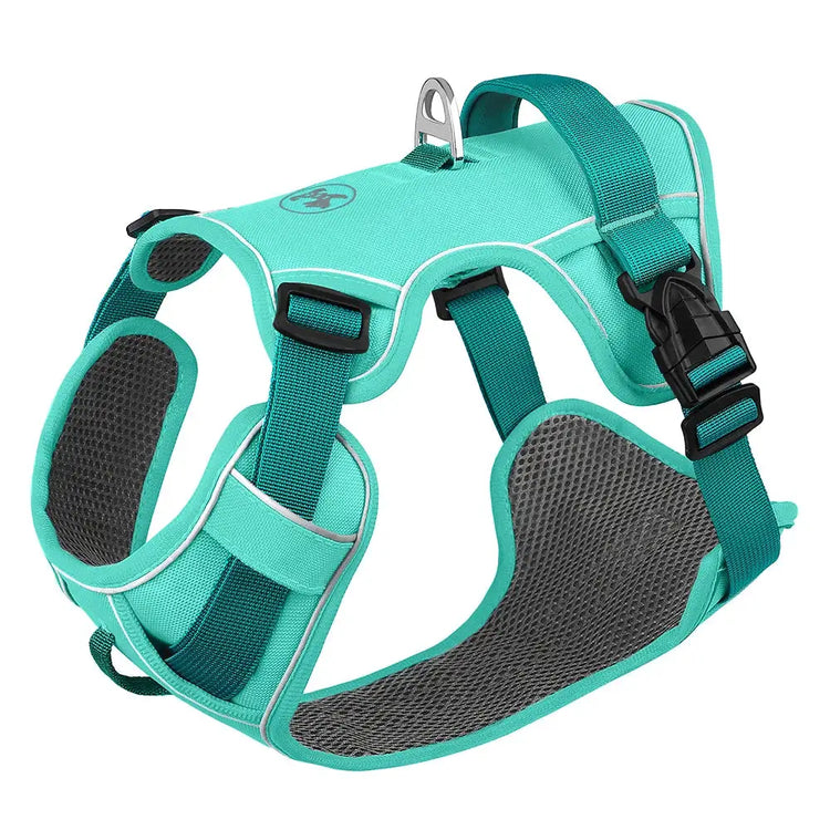 Reflective Mesh Dog Harness – Adjustable Vest - Blue / L - dog harness