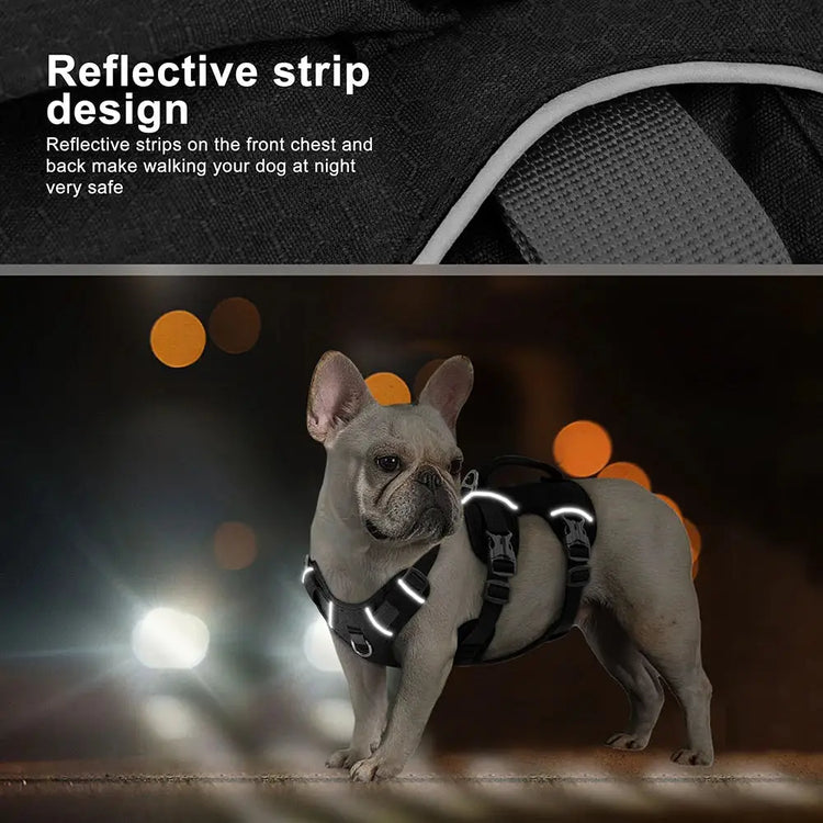 Reflective Nylon Dog Harness with Handle - dog harness