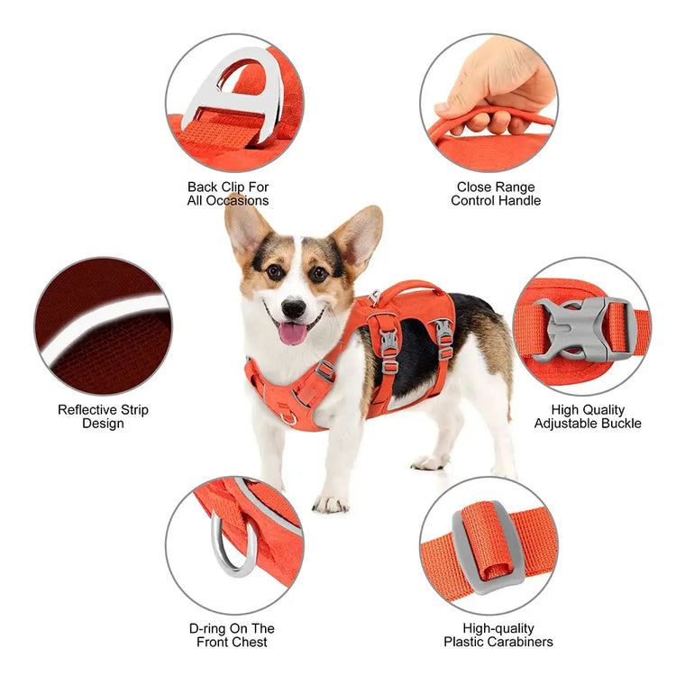 Reflective Nylon Dog Harness with Handle - dog harness