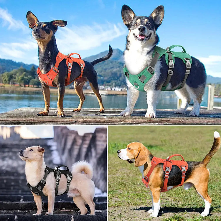 Reflective Nylon Dog Harness with Handle - dog harness