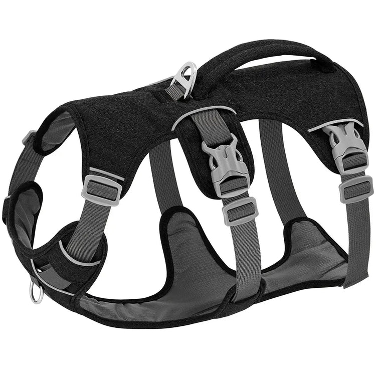 Reflective Nylon Dog Harness with Handle - Black / M - dog harness