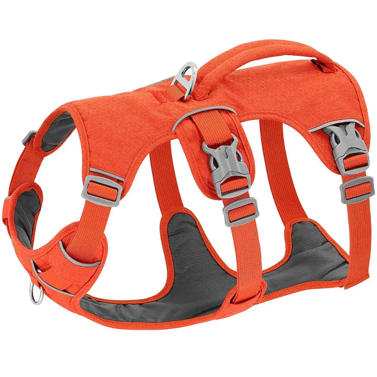 Reflective Nylon Dog Harness with Handle - Orange / M - dog harness