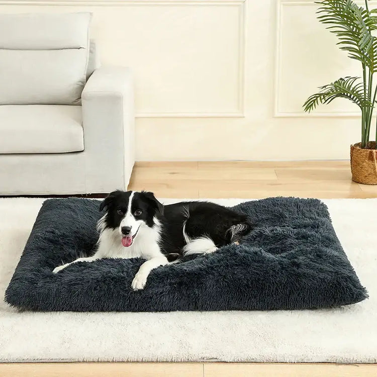 Soft Dog Beds House Soft Long Plush Best Pet Dog Bed For Dogs Basket Pet Products Cushion Cat Bed Cat Mat Animals