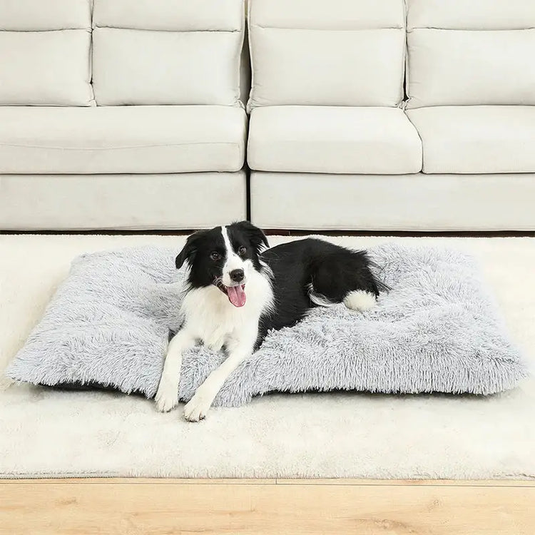 Soft Dog Beds House Soft Long Plush Best Pet Dog Bed For Dogs Basket Pet Products Cushion Cat Bed Cat Mat Animals