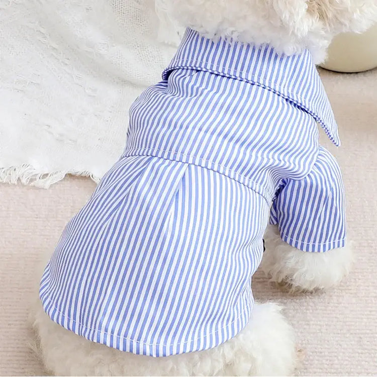 Striped Summer Dog Shirt with Bowknot – Blue - dog clothing,back view on the dog