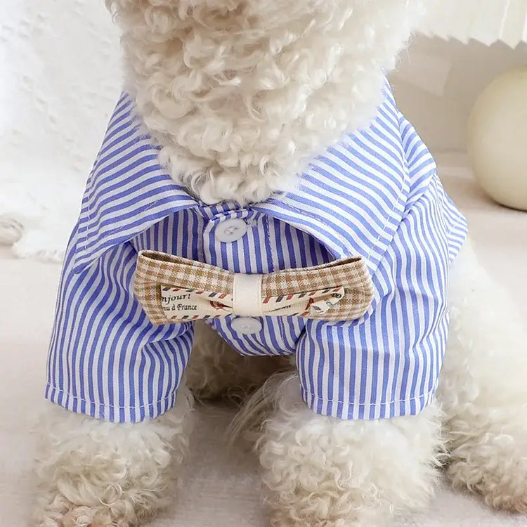 Striped Summer Dog Shirt with Bowknot – Blue - dog clothing,on the dog