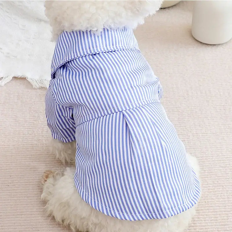 Striped Summer Dog Shirt with Bowknot – Blue - dog clothing