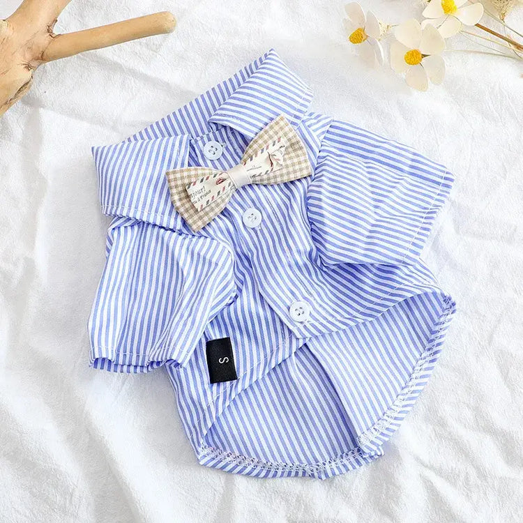 Striped Summer Dog Shirt with Bowknot – Blue - dog clothing