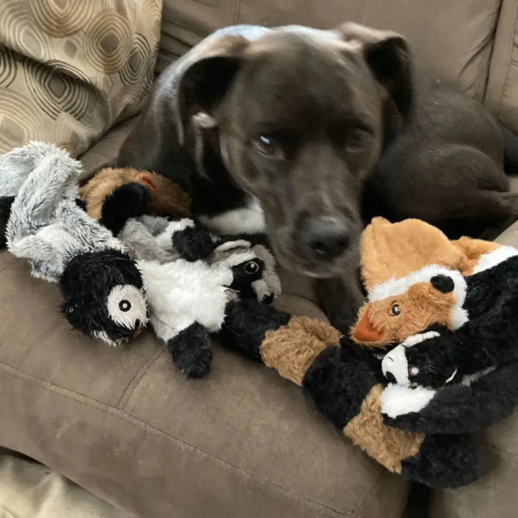 Stuffing-Free Plush Dog Toy – Squeaky & Crinkle Sound - dog toys