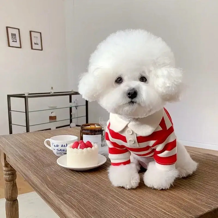 Summer Stripe Polo Shirt for Dogs - dog clothing