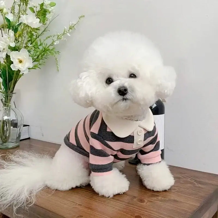 Summer Stripe Polo Shirt for Dogs - dog clothing