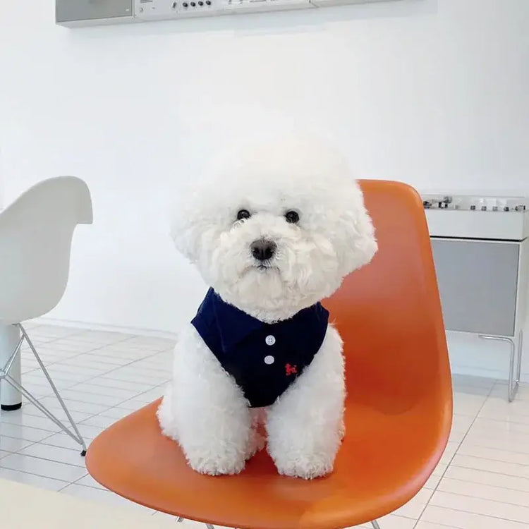 Summer Stripe Polo Shirt for Dogs - dog clothing