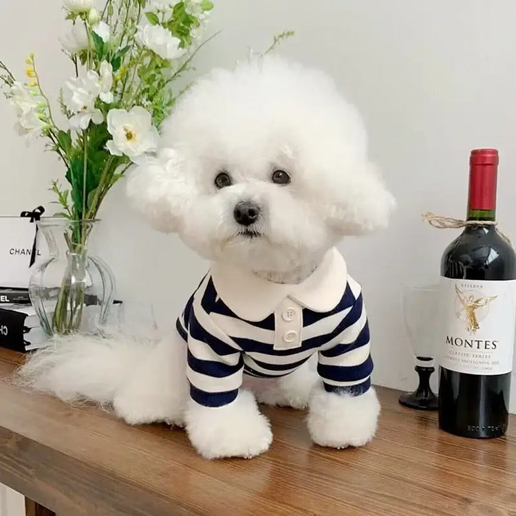 Summer Stripe Polo Shirt for Dogs - dog clothing