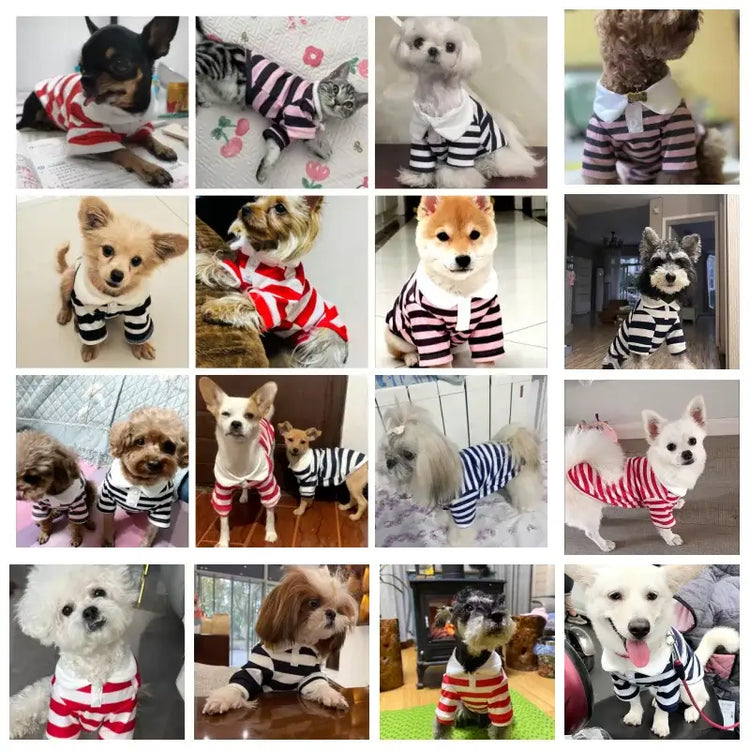 Summer Stripe Polo Shirt for Dogs - dog clothing