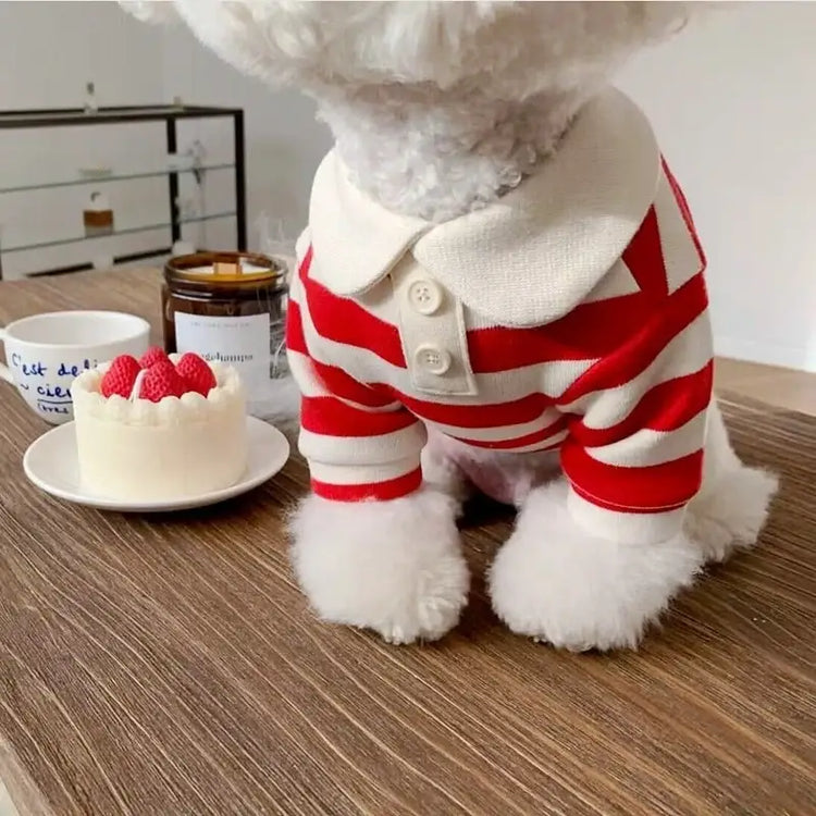 Summer Stripe Polo Shirt for Dogs - red / XXL - dog clothing