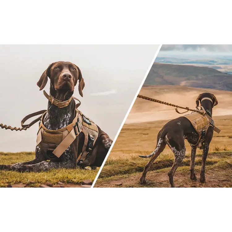 Tactical Dog Harness & Leash Set - dog harness