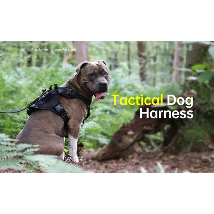 Tactical Dog Harness & Leash Set - dog harness
