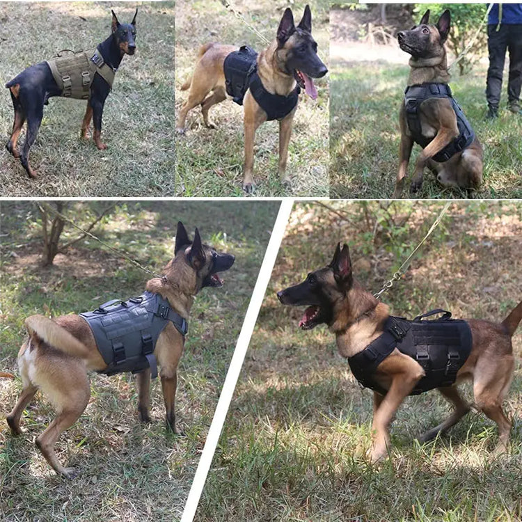 Tactical Dog Harness & Leash Set - dog harness