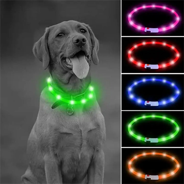 USB Rechargeable Luminous Collar Adjustable Led Glowing Dog Collar for Large Small Dogs Cat Night Light Collar Pet