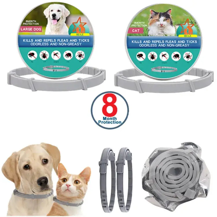 USB Rechargeable Luminous Collar Adjustable Led Glowing Dog Collar for Large Small Dogs Cat Night Light Collar Pet