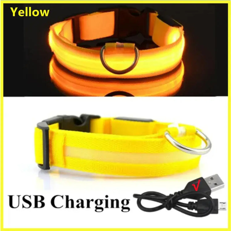 USB Rechargeable Luminous Collar Adjustable Led Glowing Dog Collar for Large Small Dogs Cat Night Light Collar Pet