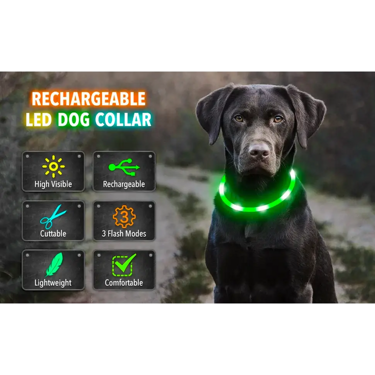 USB Rechargeable Luminous Collar Adjustable Led Glowing Dog Collar for Large Small Dogs Cat Night Light Collar Pet