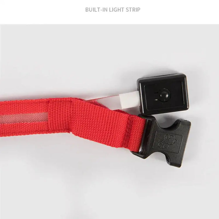 USB Rechargeable Luminous Collar Adjustable Led Glowing Dog Collar for Large Small Dogs Cat Night Light Collar Pet