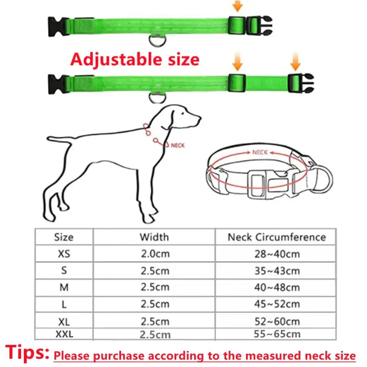 USB Rechargeable Luminous Collar Adjustable Led Glowing Dog Collar for Large Small Dogs Cat Night Light Collar Pet