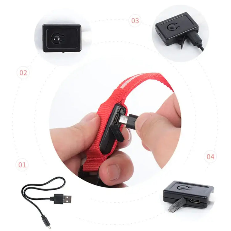 USB Rechargeable Luminous Collar Adjustable Led Glowing Dog Collar for Large Small Dogs Cat Night Light Collar Pet