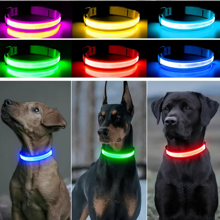 USB Rechargeable Luminous Collar Adjustable Led Glowing Dog Collar for Large Small Dogs Cat Night Light Collar Pet