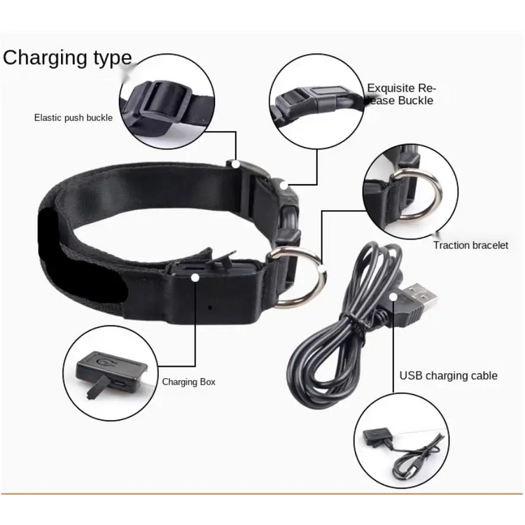 USB Rechargeable Luminous Collar Adjustable Led Glowing Dog Collar for Large Small Dogs Cat Night Light Collar Pet