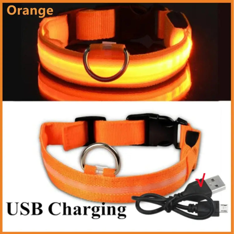 USB Rechargeable Luminous Collar Adjustable Led Glowing Dog Collar for Large Small Dogs Cat Night Light Collar Pet
