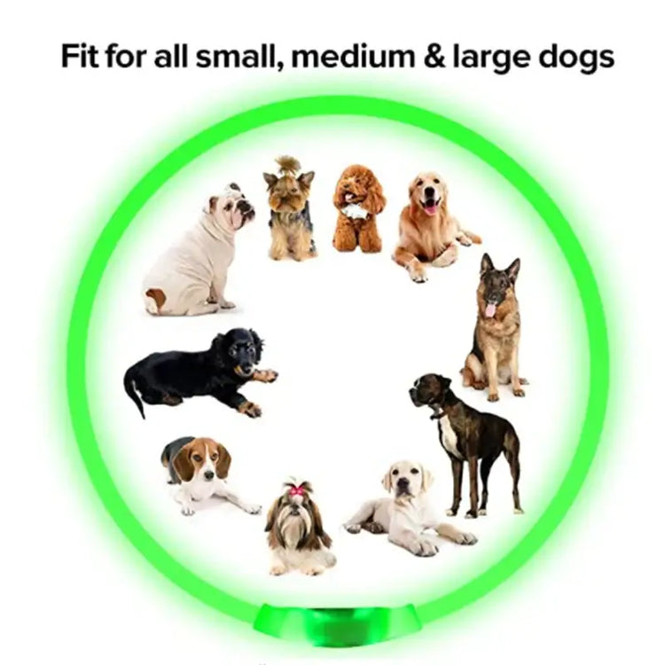 USB Rechargeable Luminous Collar Adjustable Led Glowing Dog Collar for Large Small Dogs Cat Night Light Collar Pet