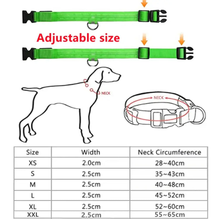 USB Rechargeable Luminous Collar Adjustable Led Glowing Dog Collar for Large Small Dogs Cat Night Light Collar Pet