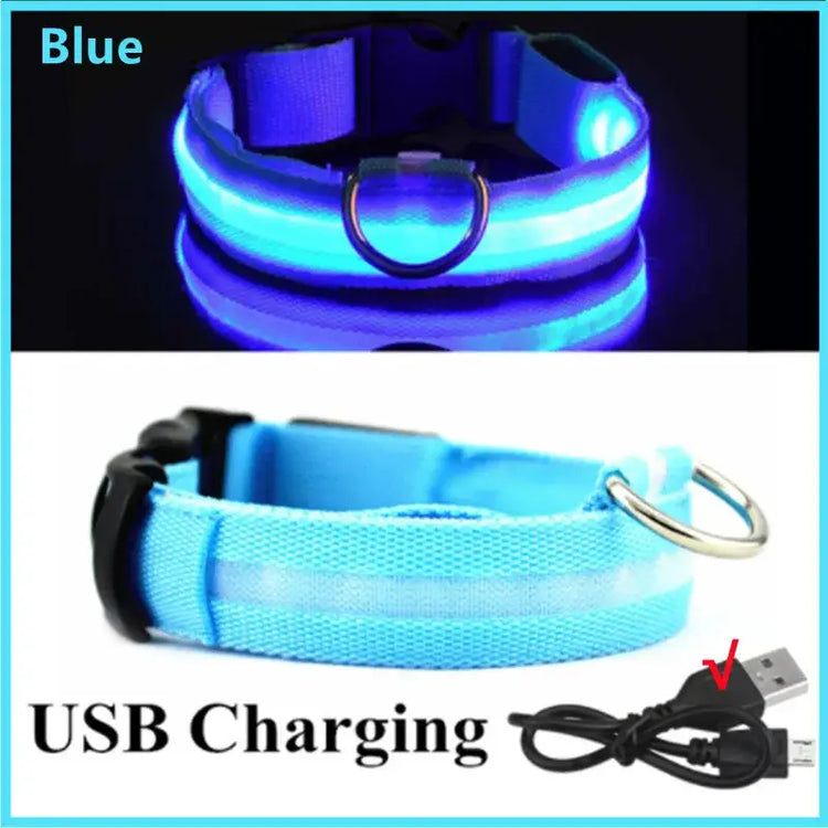 USB Rechargeable Luminous Collar Adjustable Led Glowing Dog Collar for Large Small Dogs Cat Night Light Collar Pet
