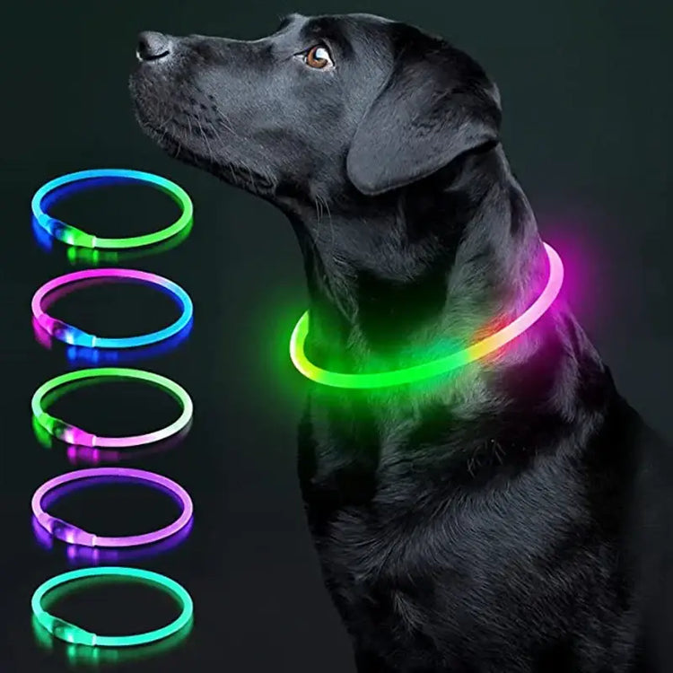 USB Rechargeable Luminous Collar Adjustable Led Glowing Dog Collar for Large Small Dogs Cat Night Light Collar Pet