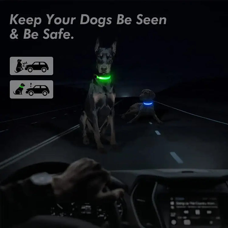 USB Rechargeable Luminous Collar Adjustable Led Glowing Dog Collar for Large Small Dogs Cat Night Light Collar Pet