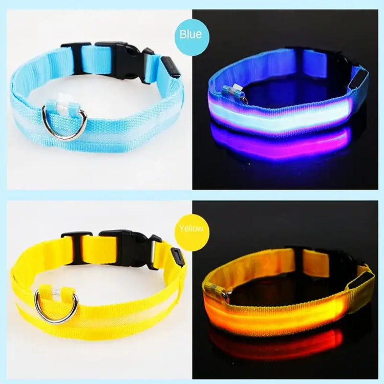 USB Rechargeable Luminous Collar Adjustable Led Glowing Dog Collar for Large Small Dogs Cat Night Light Collar Pet