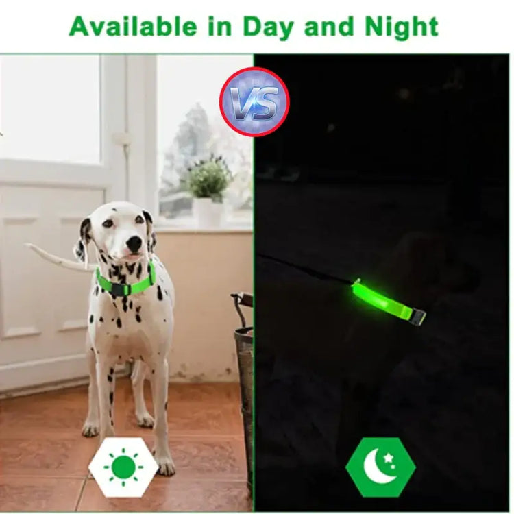 USB Rechargeable Luminous Collar Adjustable Led Glowing Dog Collar for Large Small Dogs Cat Night Light Collar Pet