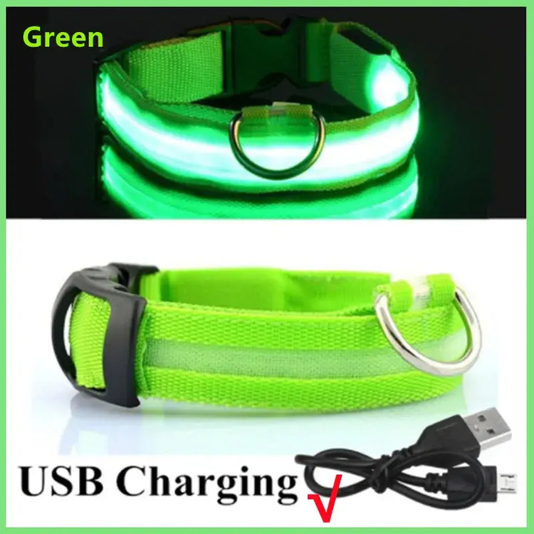 USB Rechargeable Luminous Collar Adjustable Led Glowing Dog Collar for Large Small Dogs Cat Night Light Collar Pet