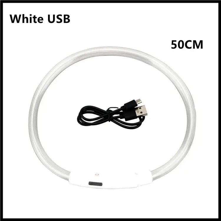 USB Rechargeable Luminous Collar Adjustable Led Glowing Dog Collar for Large Small Dogs Cat Night Light Collar Pet