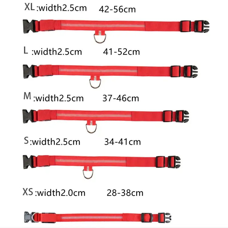 USB Rechargeable Luminous Collar Adjustable Led Glowing Dog Collar for Large Small Dogs Cat Night Light Collar Pet