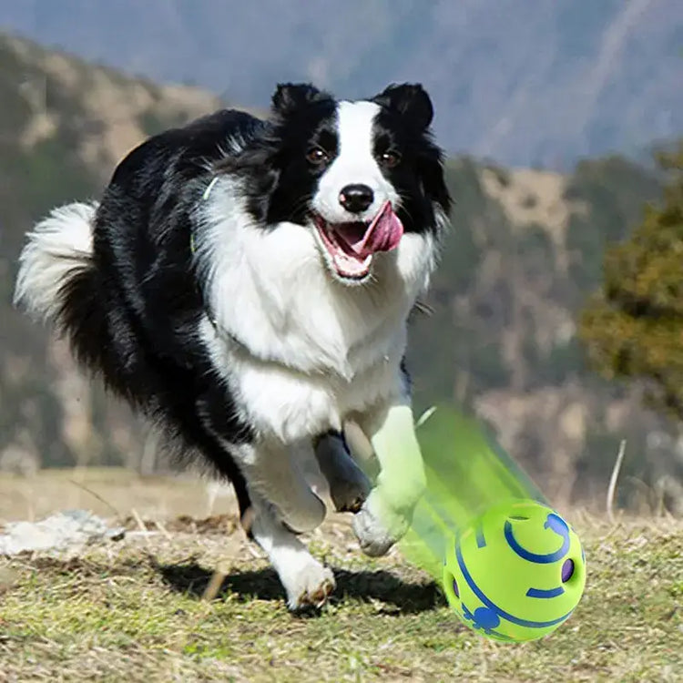 Wobble Wag Giggle Ball Dog Toy – Makes Fun Sounds When Rolled or Shaken - dog toys